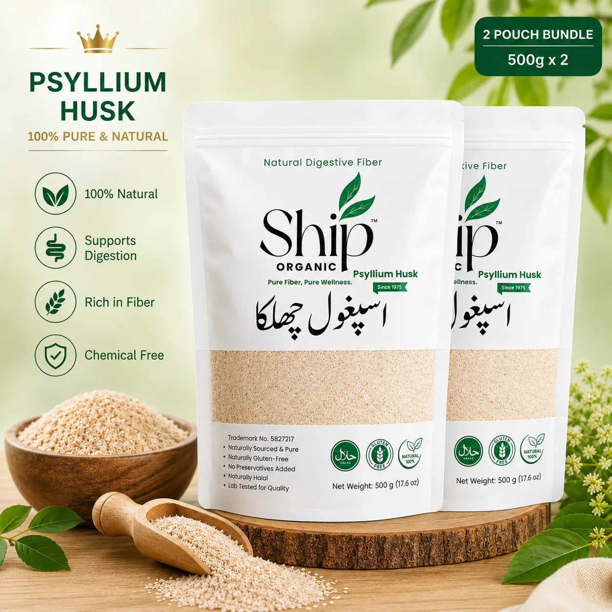 Psyllium Husk Ispaghol 1KG Family Pack + Free Chia Seeds 100g  | Ship Organic
